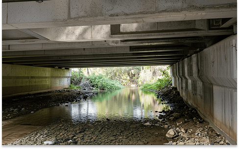BRIDGE